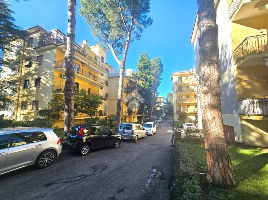 immagine annuncio 9 di 12