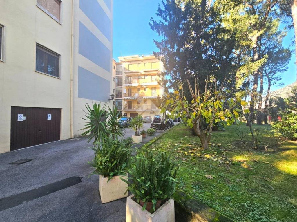 immagine annuncio 11 di 12