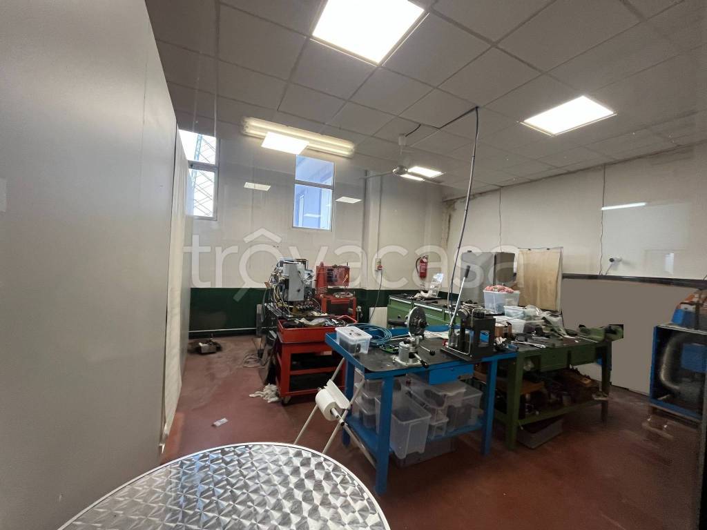 immagine annuncio 10 di 15