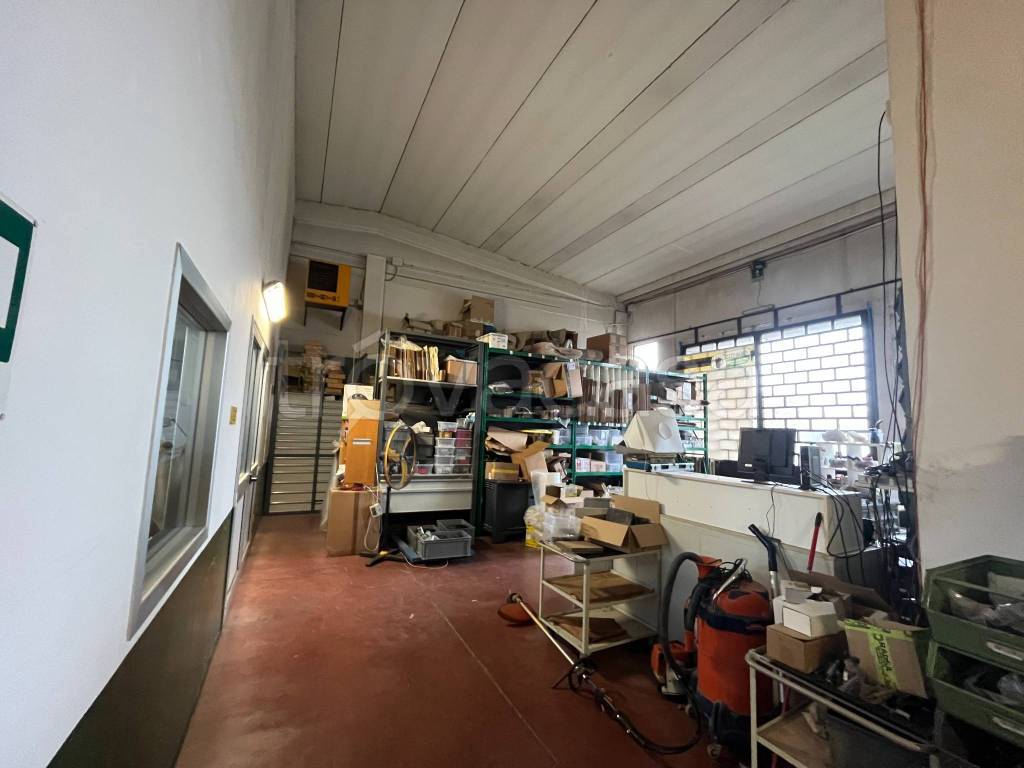 immagine annuncio 11 di 15