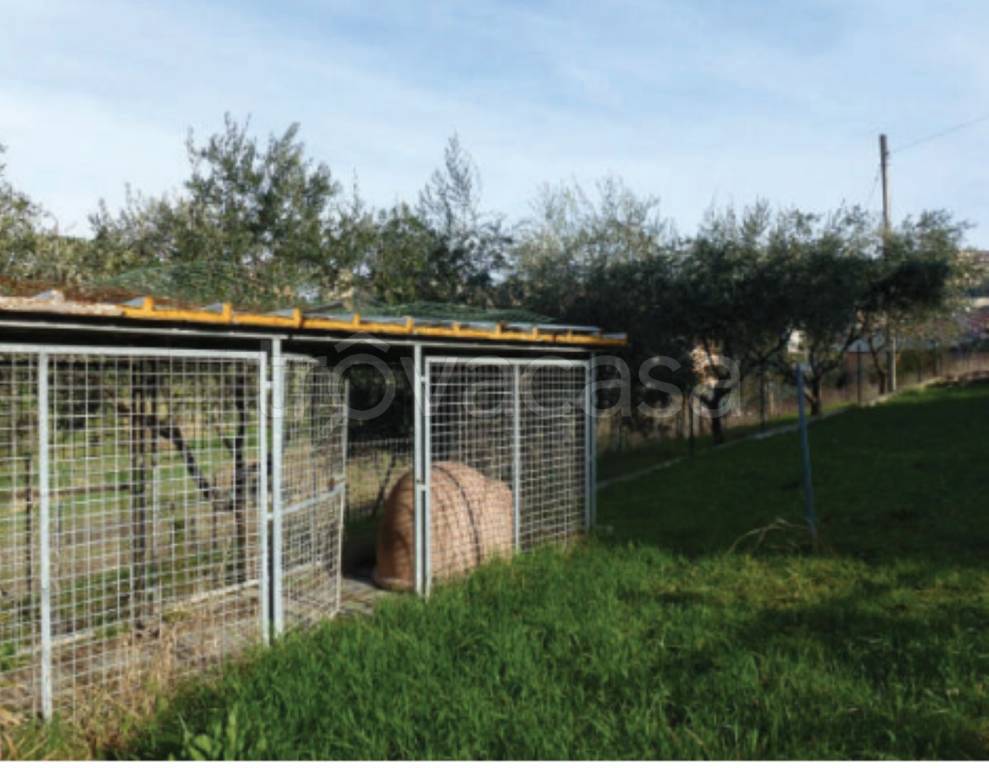 immagine annuncio 2 di 10