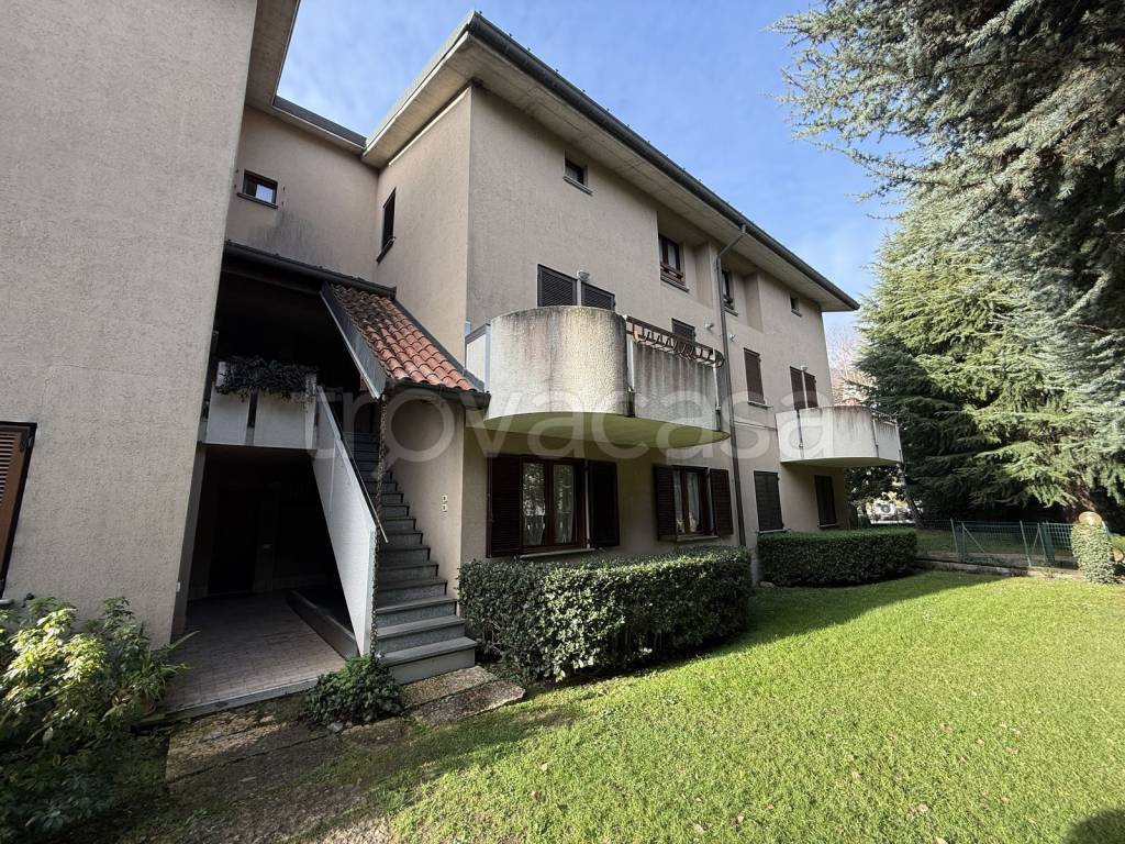 immagine annuncio 8 di 15