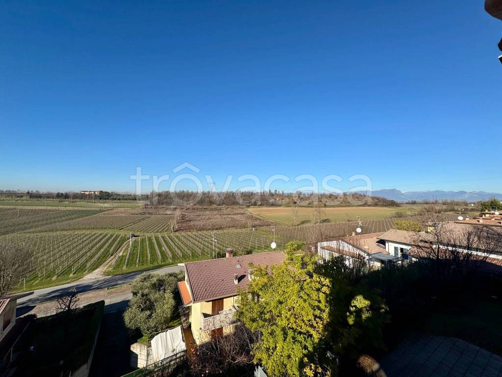 immagine annuncio 3 di 6