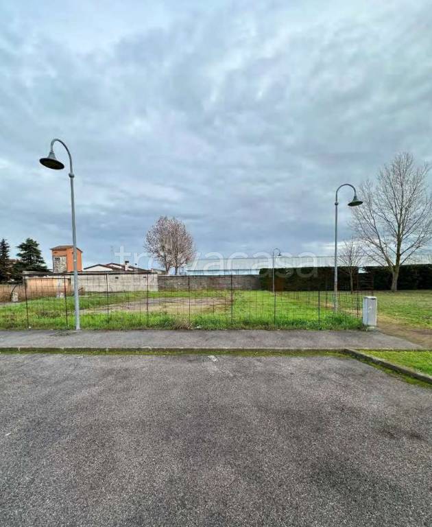 immagine annuncio 2 di 12