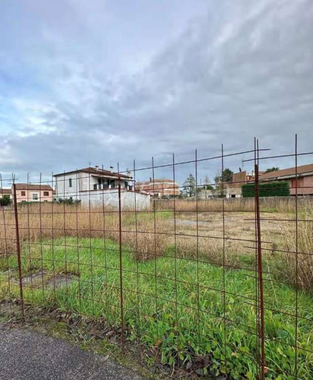 immagine annuncio 3 di 12