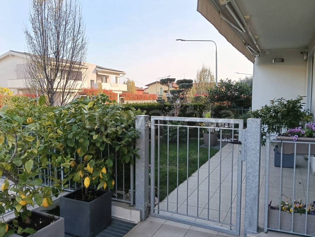 immagine annuncio 2 di 15