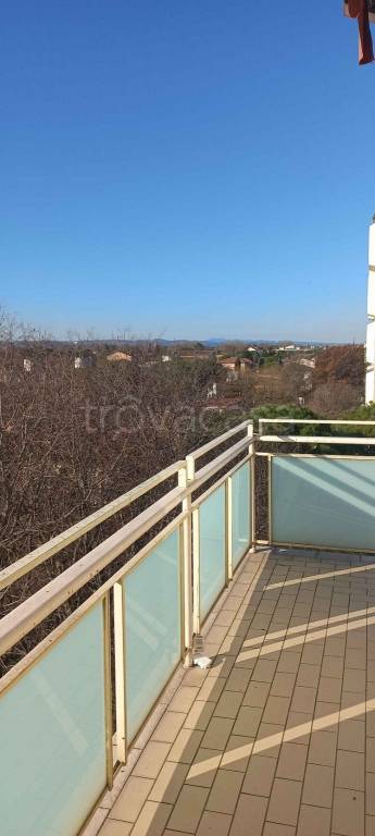 immagine annuncio 4 di 6