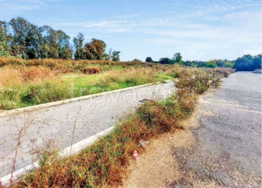 immagine annuncio 4 di 7