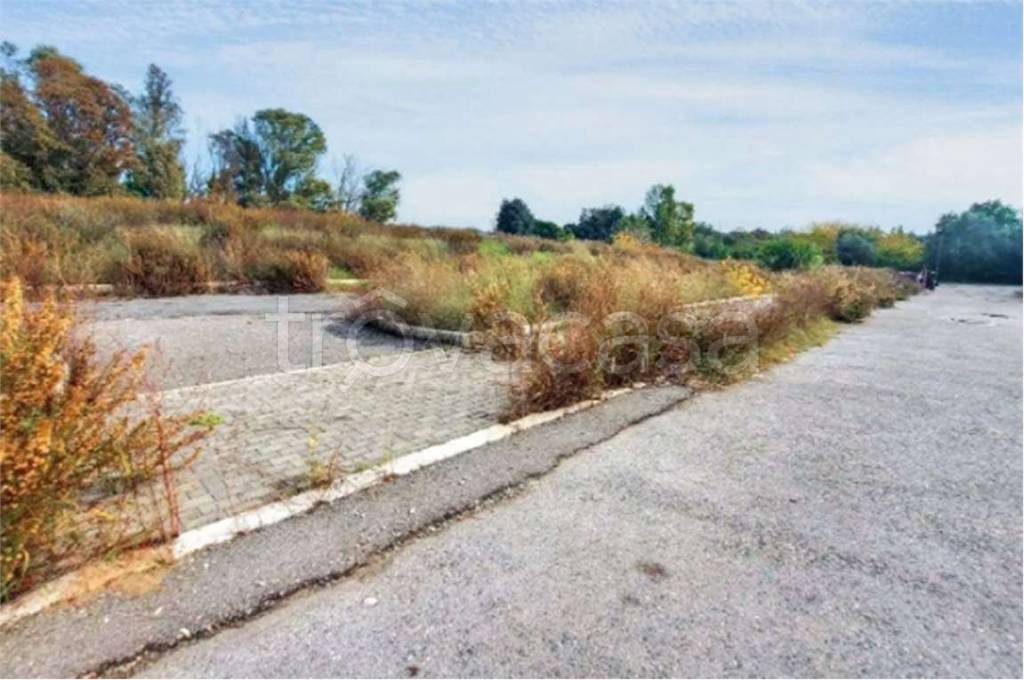 immagine annuncio 5 di 7