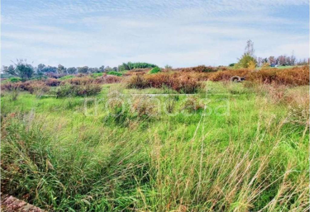 immagine annuncio 6 di 7