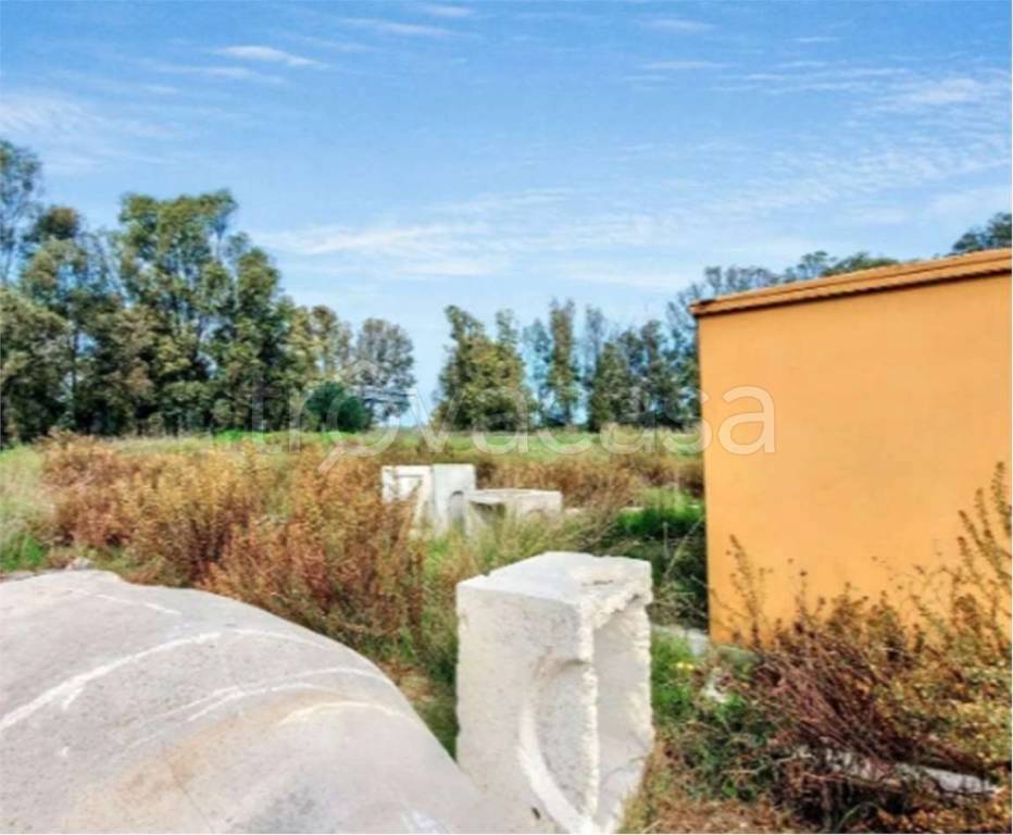 immagine annuncio 2 di 7