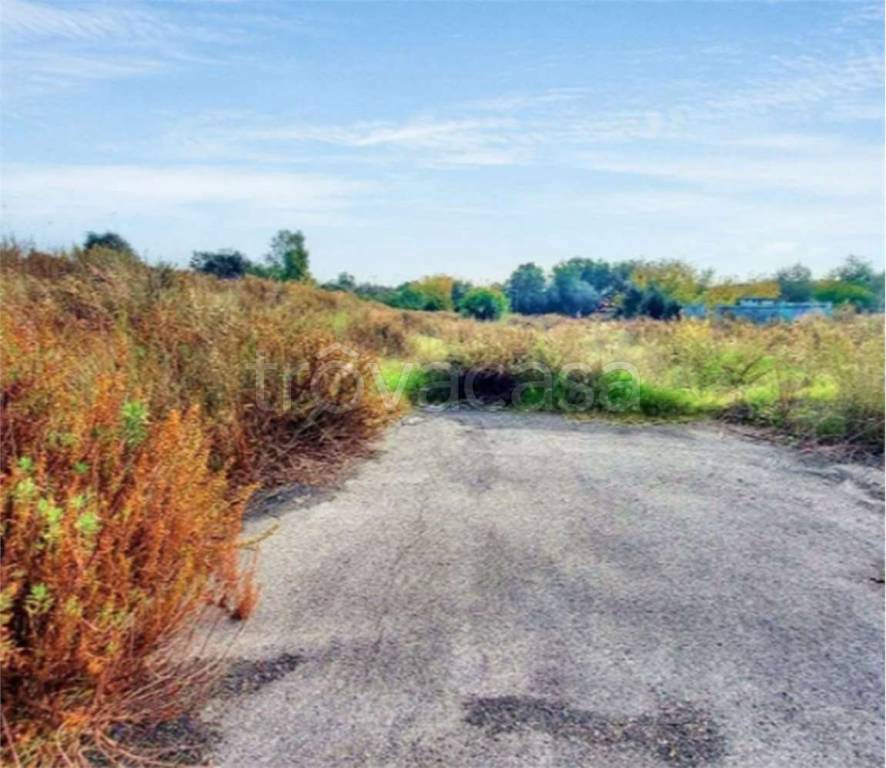 immagine annuncio 3 di 7