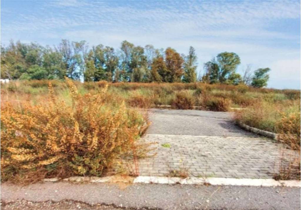 immagine annuncio 4 di 7