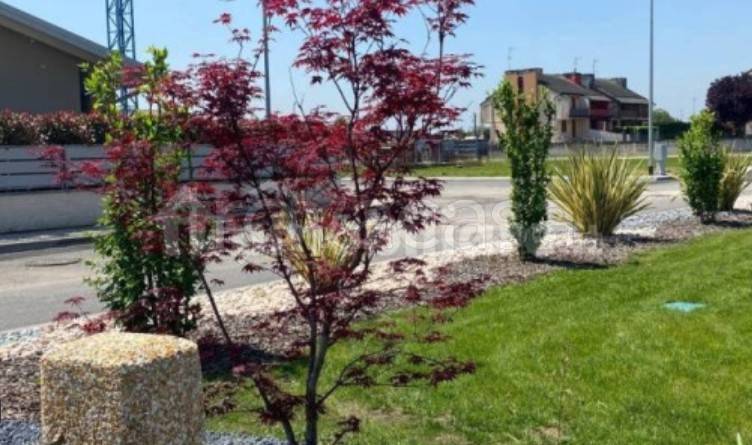 immagine annuncio 3 di 7