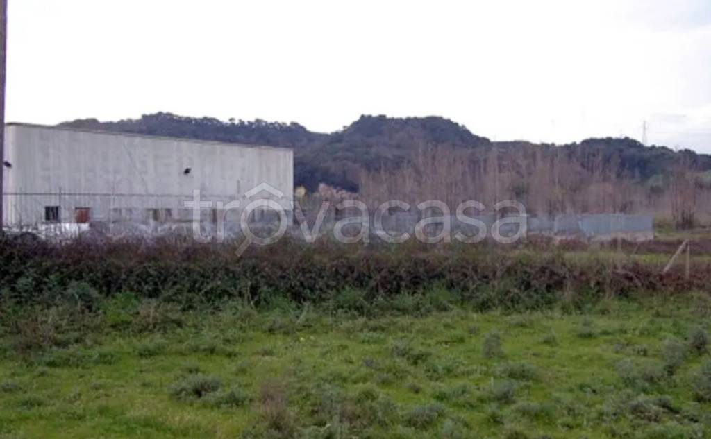 immagine annuncio 4 di 11