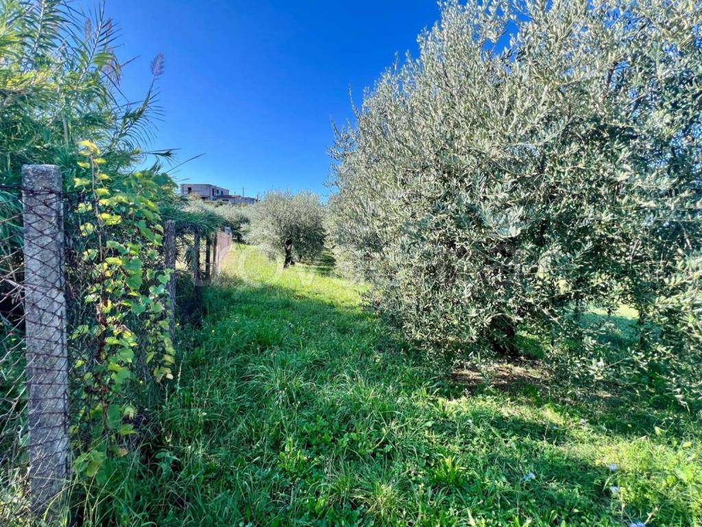 immagine annuncio 1 di 7