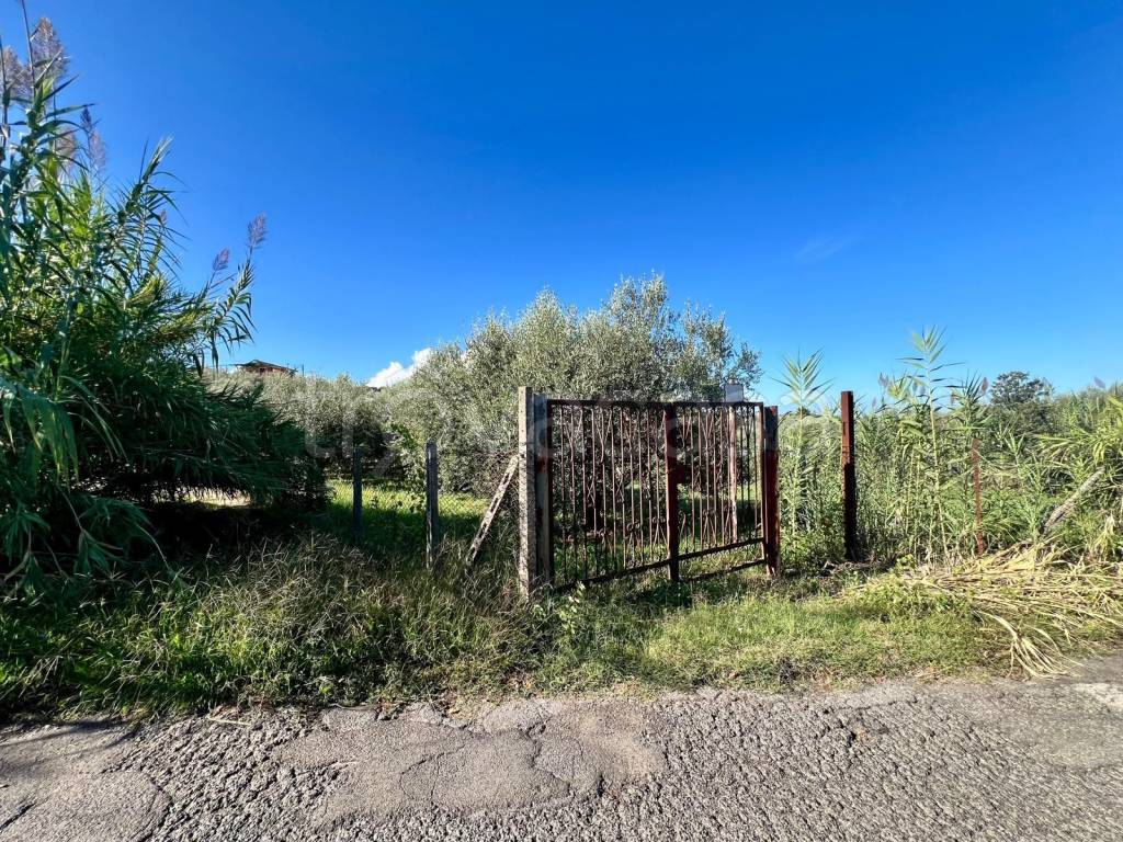 immagine annuncio 4 di 7