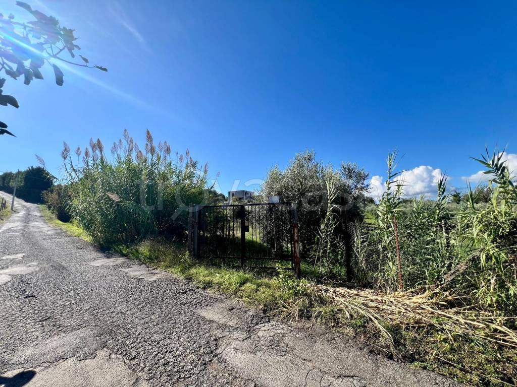 immagine annuncio 6 di 7