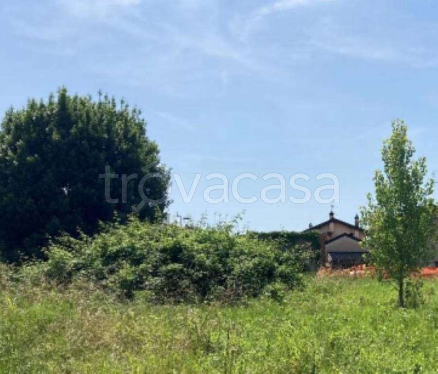 immagine annuncio 2 di 11