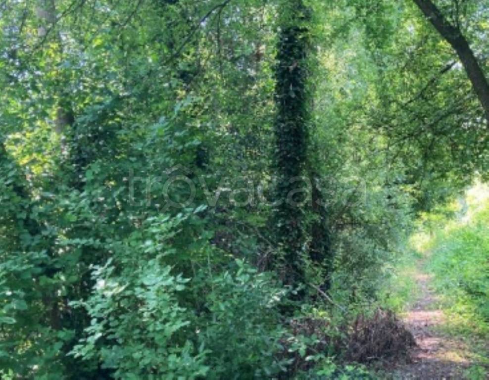 immagine annuncio 5 di 11