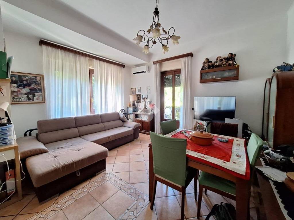 immagine annuncio 2 di 15