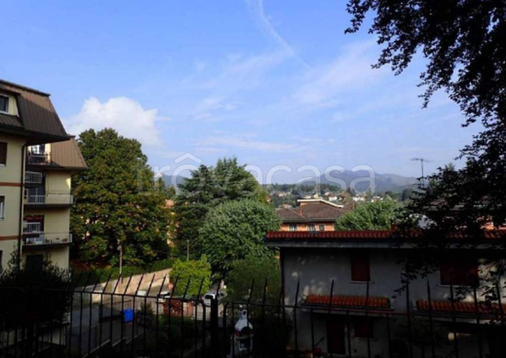 immagine annuncio 3 di 12