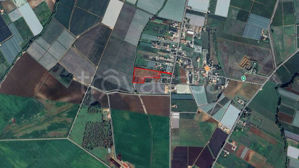 immagine annuncio 5 di 7