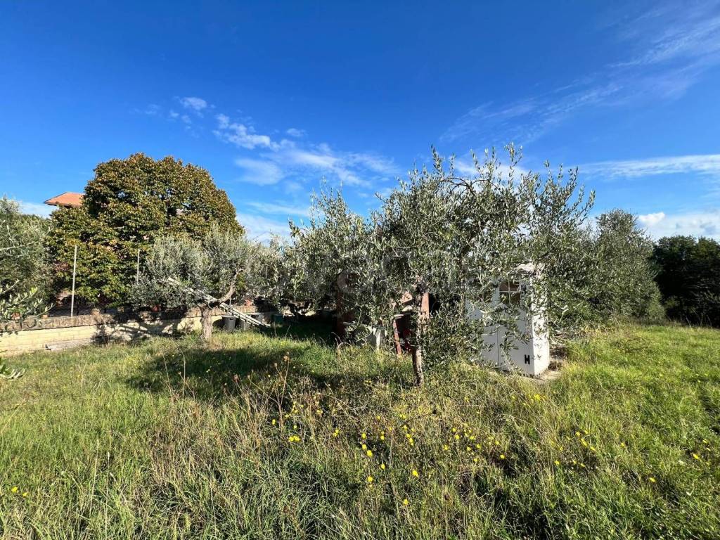 immagine annuncio 4 di 10