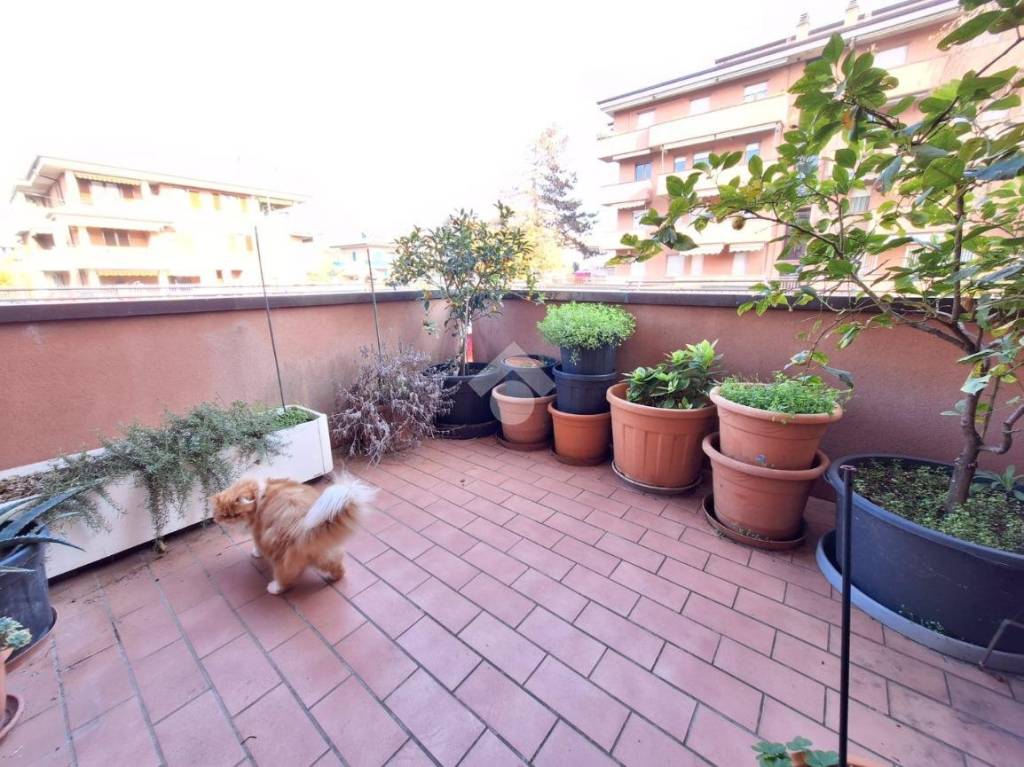 immagine annuncio 7 di 15