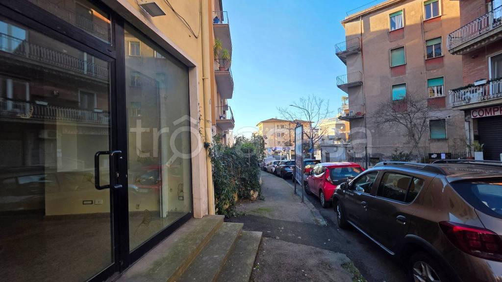 immagine annuncio 7 di 13