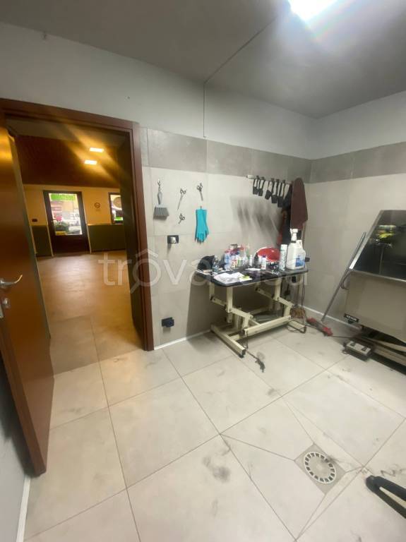 immagine annuncio 5 di 8