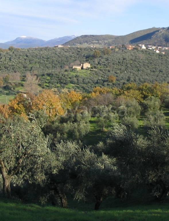 immagine annuncio 5 di 9