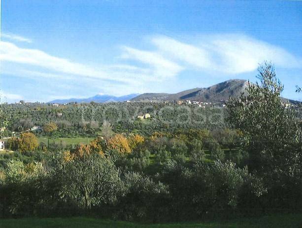 immagine annuncio 7 di 9