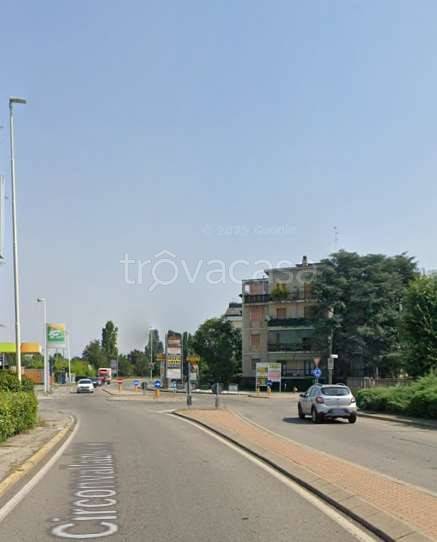 immagine annuncio 7 di 11