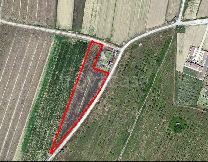 immagine annuncio 4 di 7