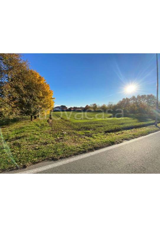 immagine annuncio 2 di 6