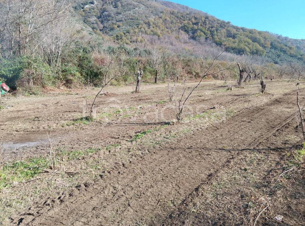 immagine annuncio 4 di 6