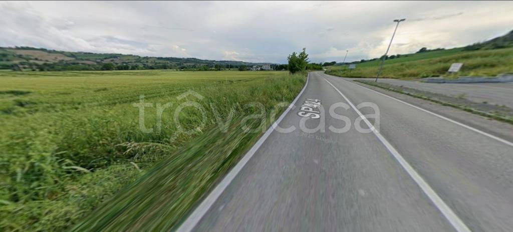 immagine annuncio 7 di 11