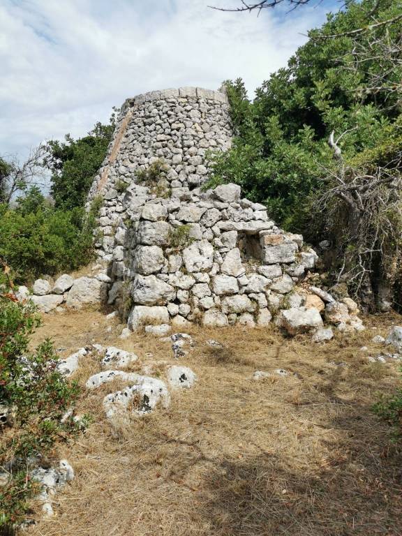 immagine annuncio 5 di 11