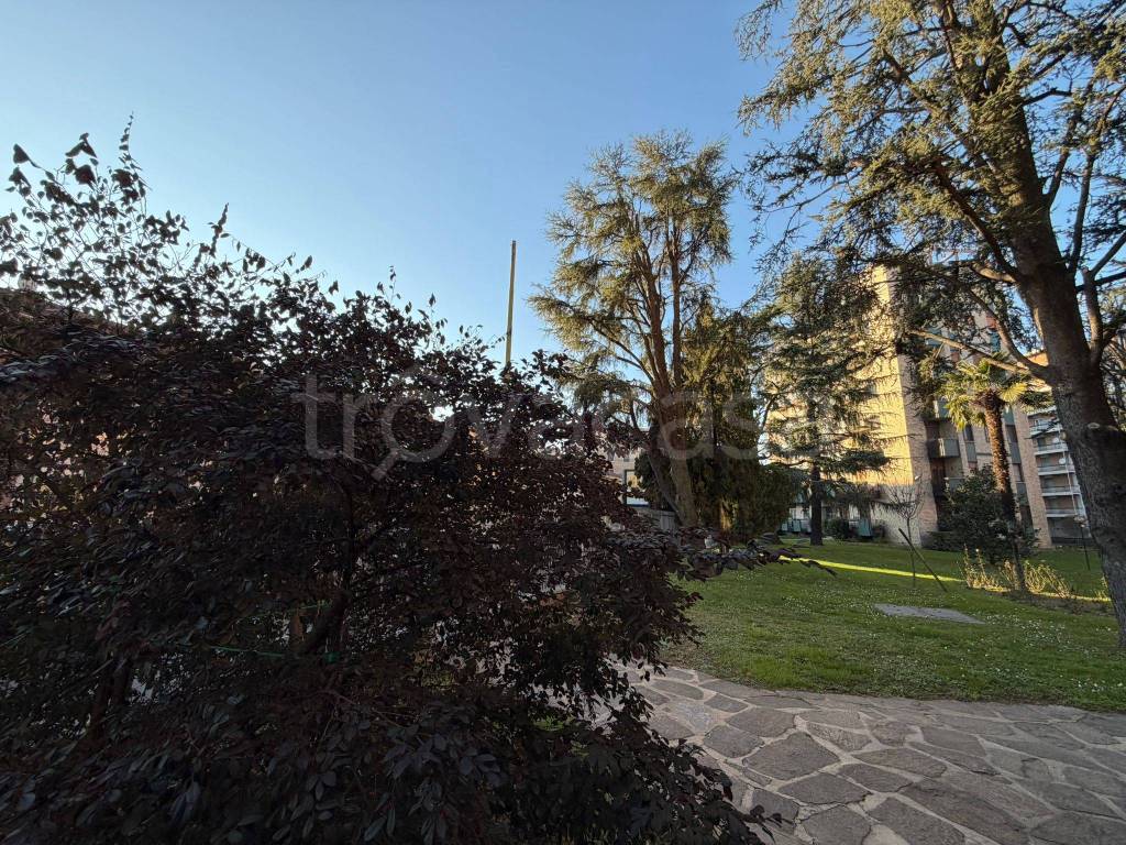 immagine annuncio 4 di 12