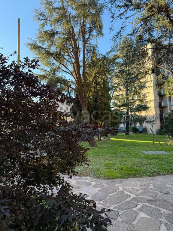 immagine annuncio 6 di 12