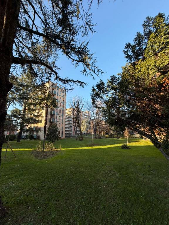 immagine annuncio 8 di 12