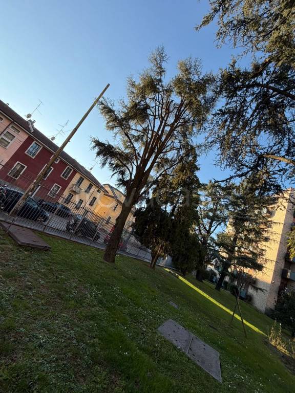 immagine annuncio 9 di 12