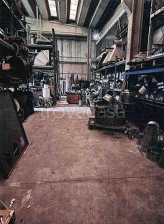 immagine annuncio 4 di 14