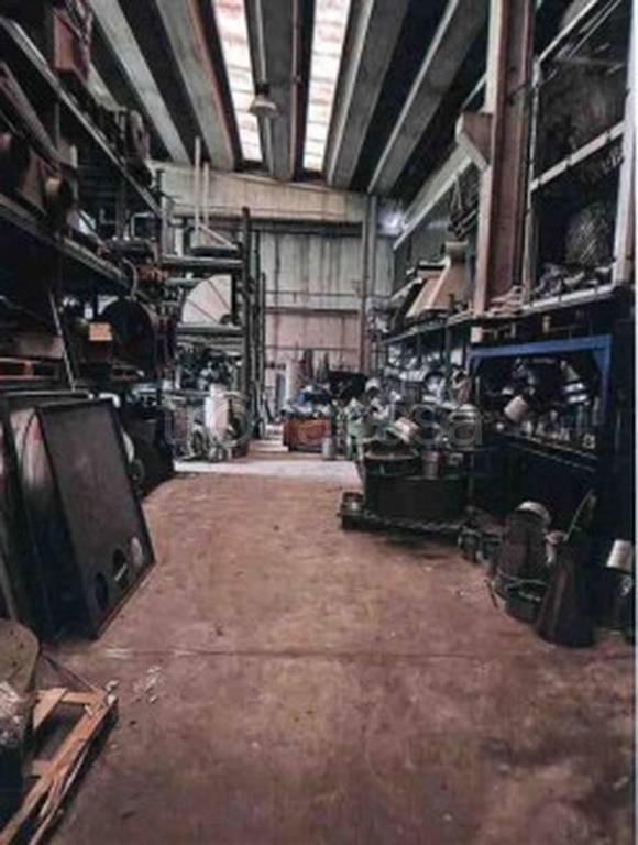 immagine annuncio 5 di 14