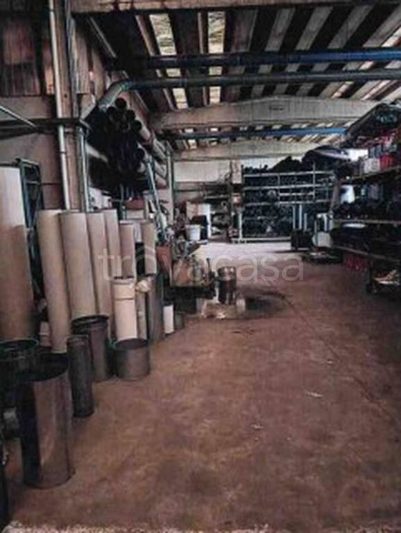 immagine annuncio 6 di 14