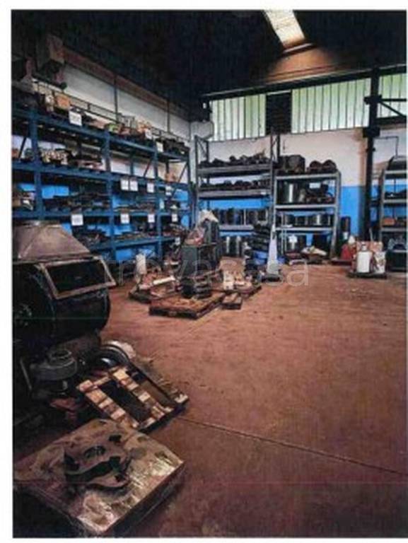 immagine annuncio 8 di 14