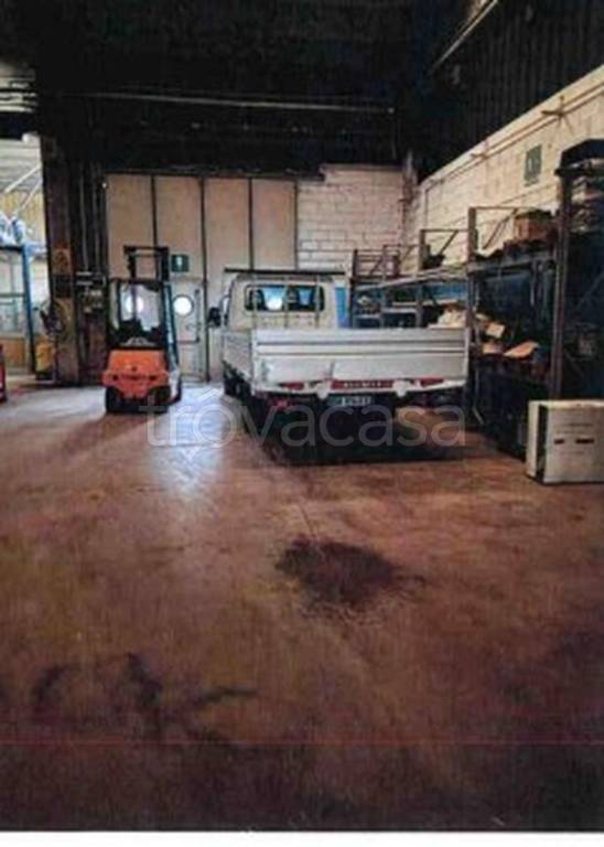 immagine annuncio 10 di 14