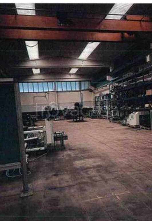 immagine annuncio 11 di 14