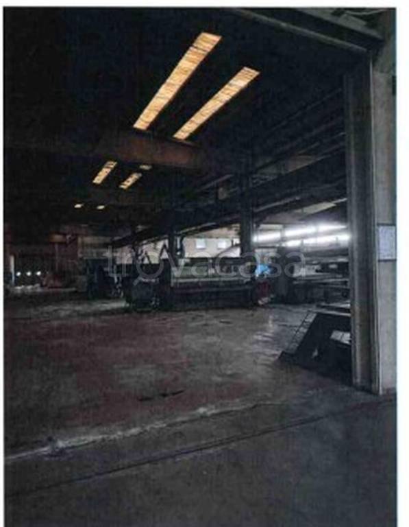 immagine annuncio 12 di 14